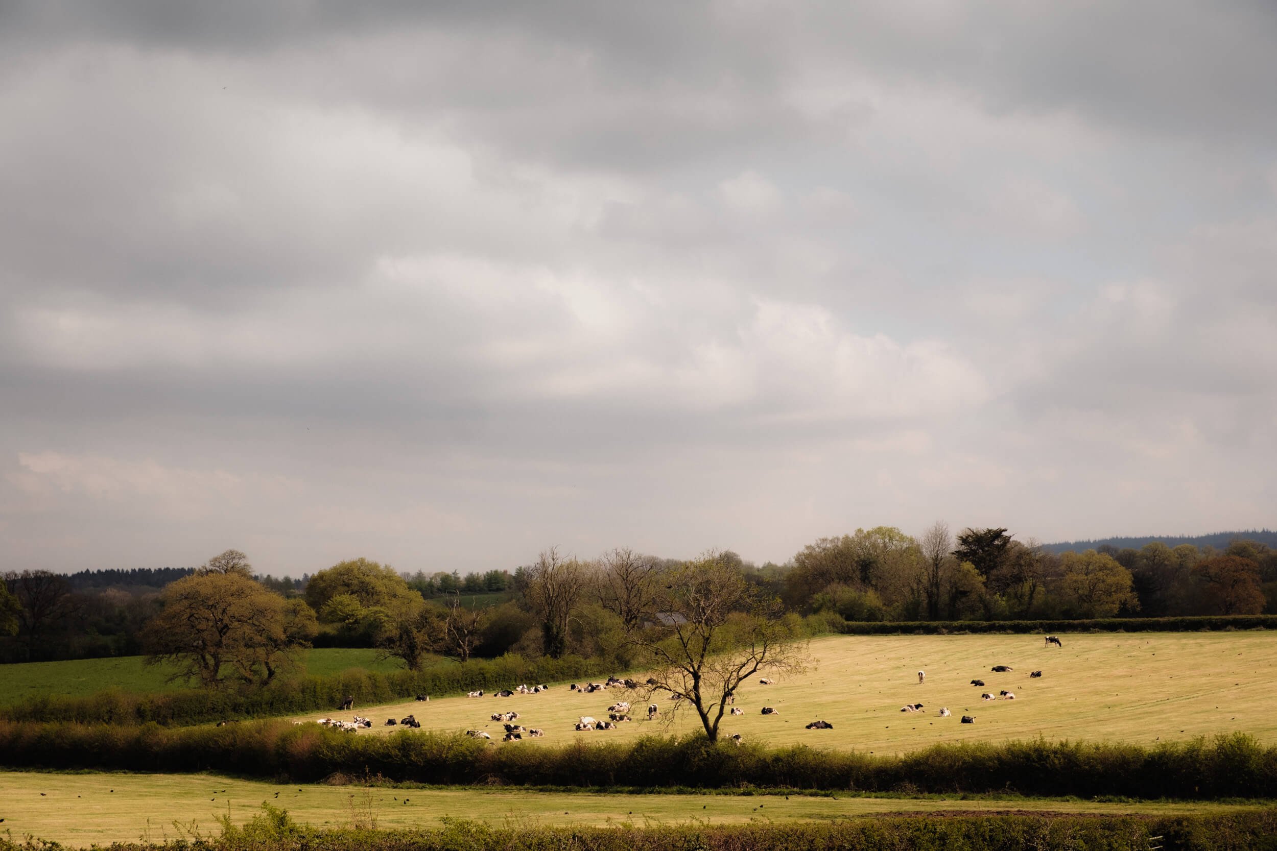 bruton-13.jpg