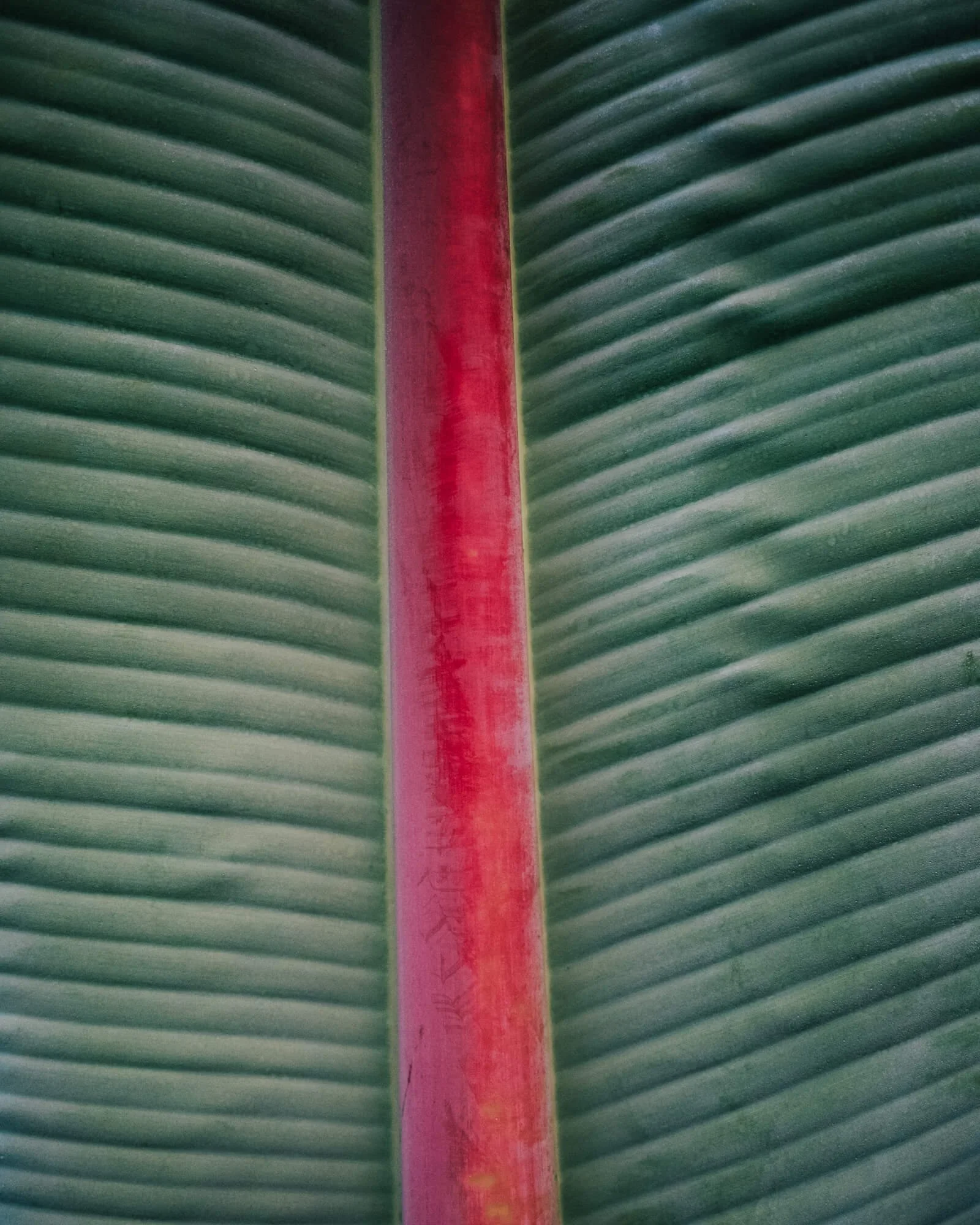 rwanda-9.jpg