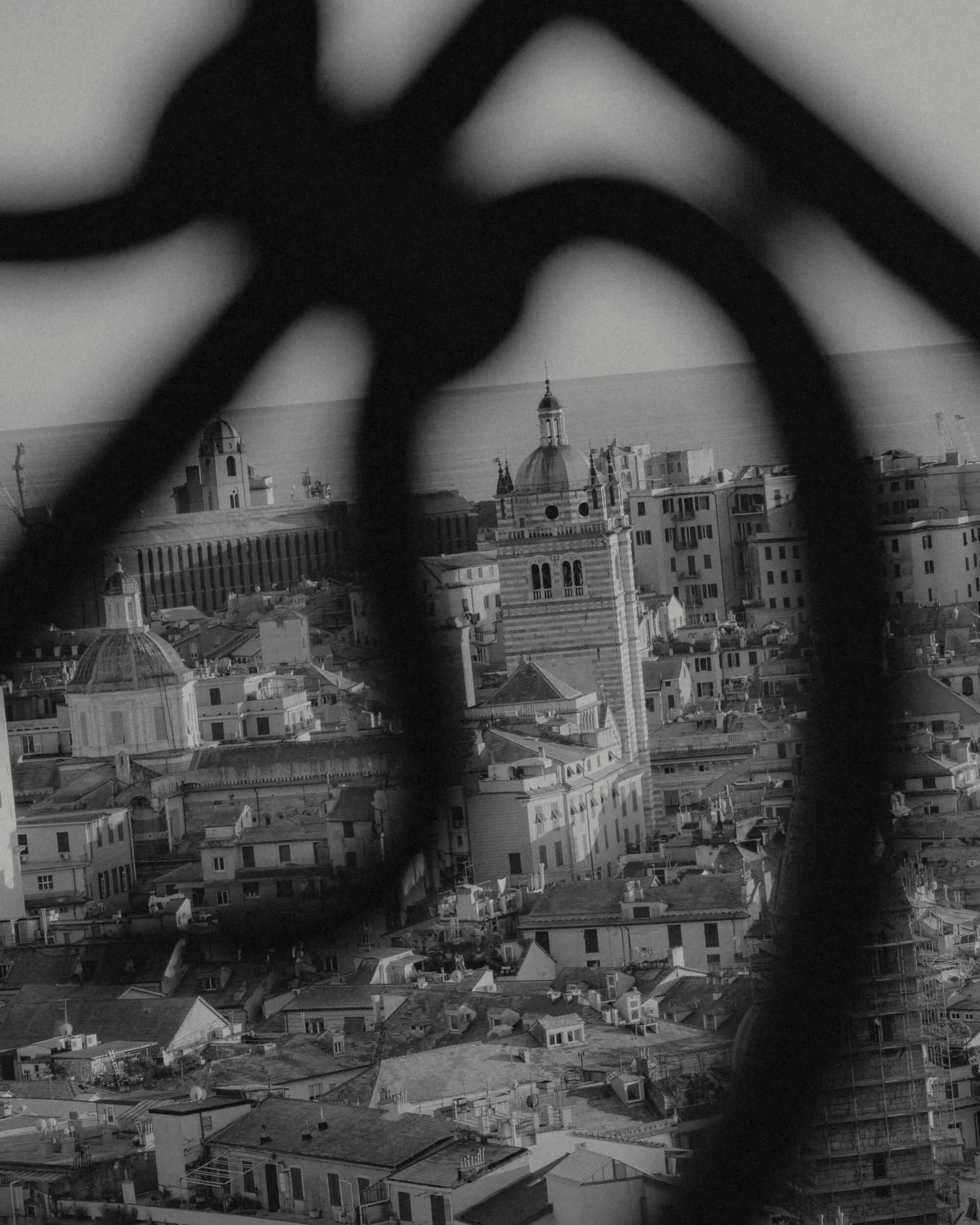 genoa-city-view.jpg