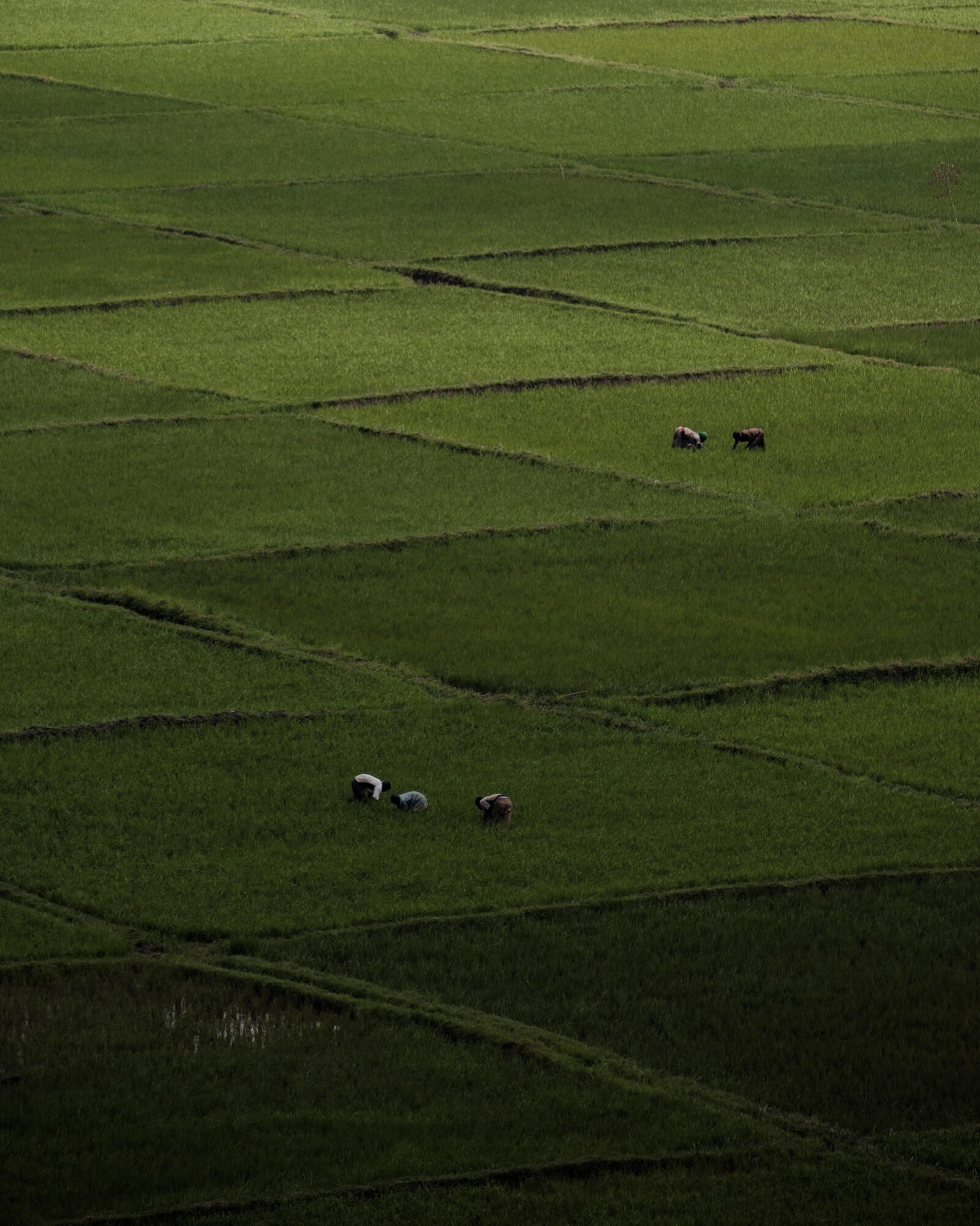 rwanda-20.jpg