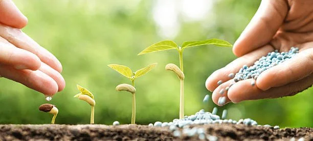 istockphoto-531606098-612x612.jpg