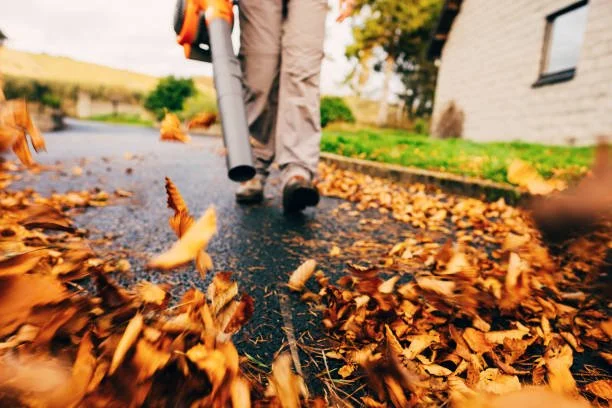 istockphoto-1286727322-612x612.jpg