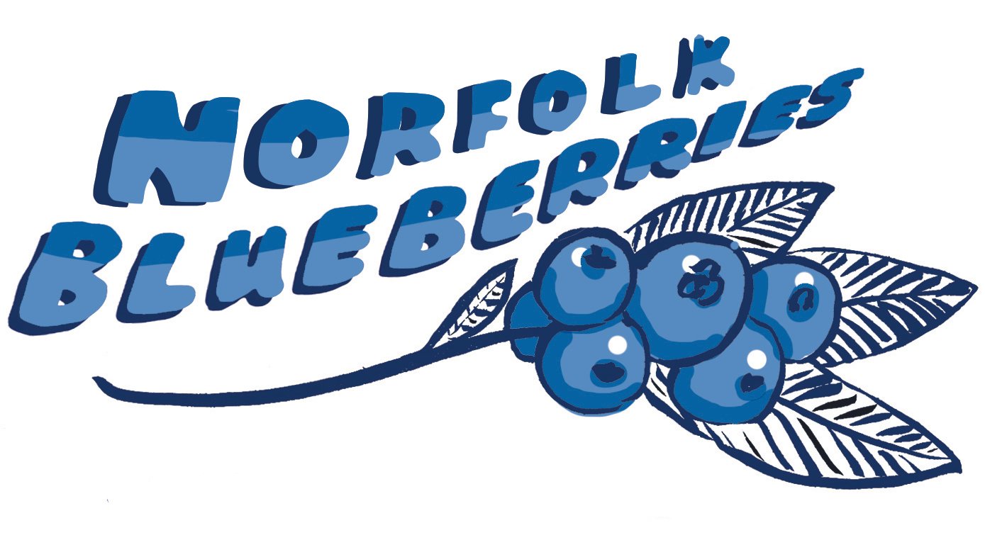 Norfolk Blueberries