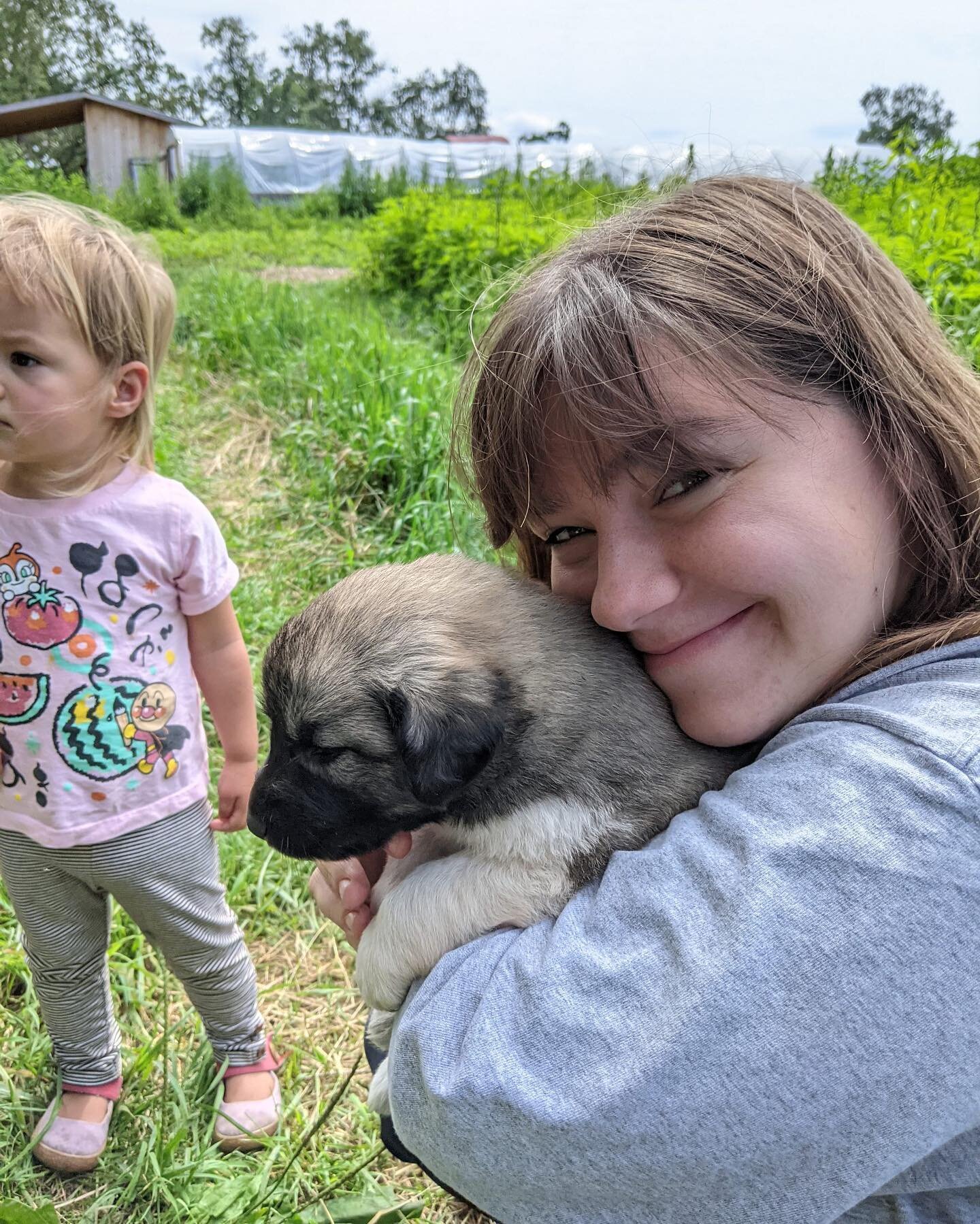 That moment when work- oh look a puppy! #distractions