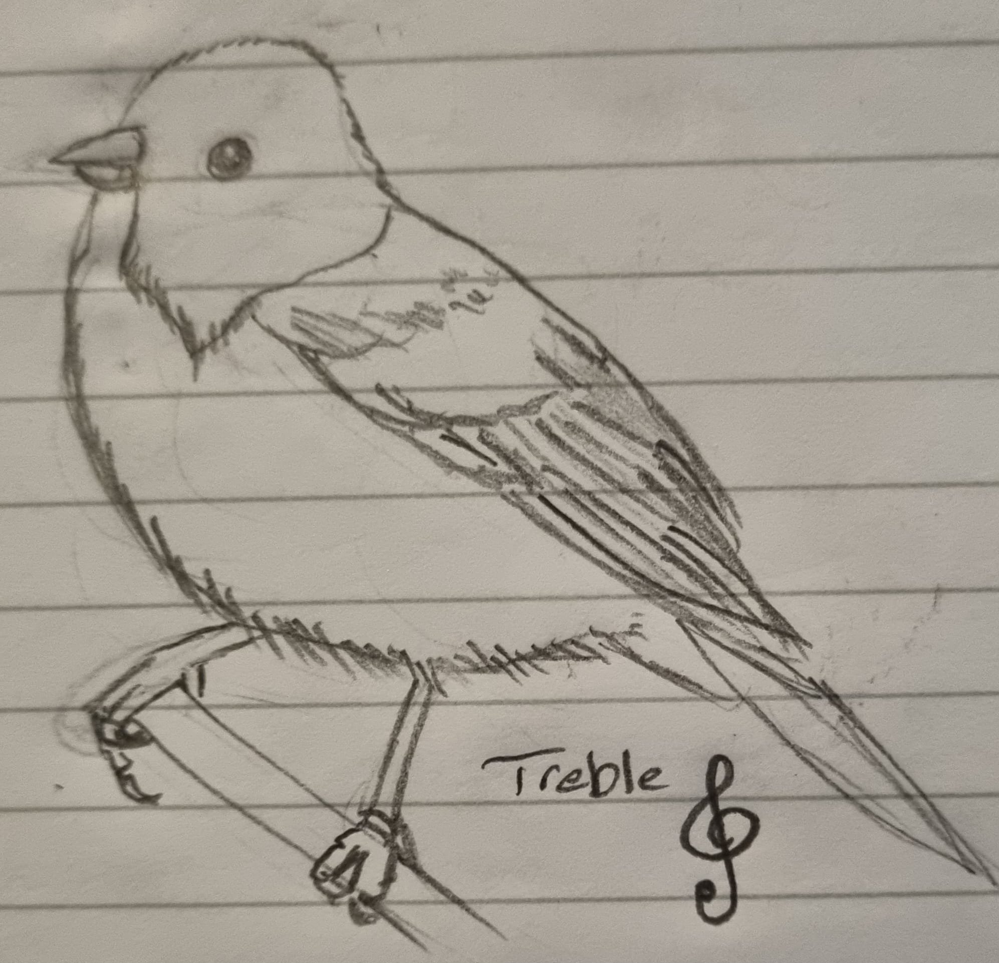 Calli's bird Treble by Amy