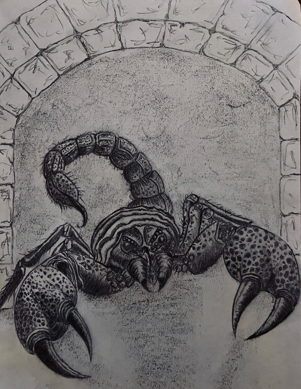 Giant Scorpion in a room!
