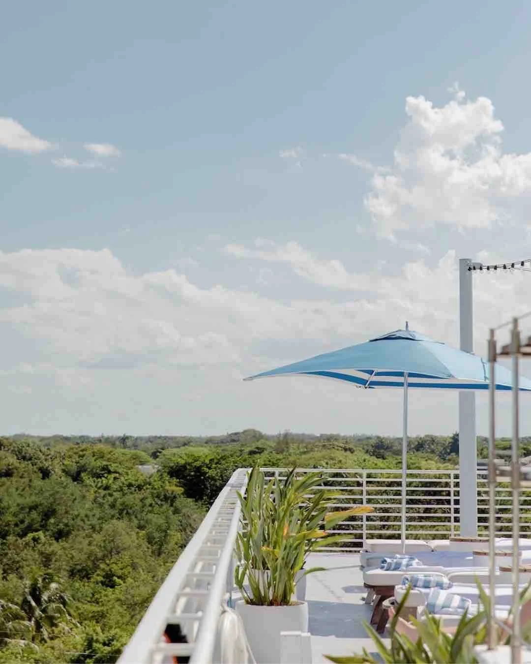 Rooftop Pool Deck Mr C Miami