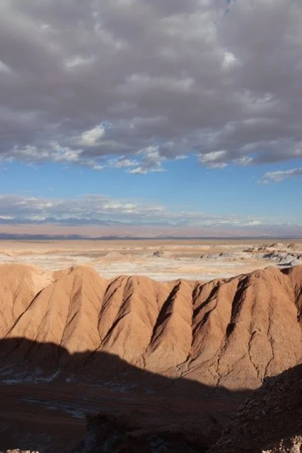 IMG_1023 Medium.jpeg