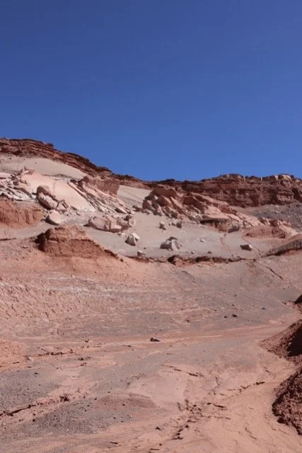 IMG_1121 Medium.jpeg