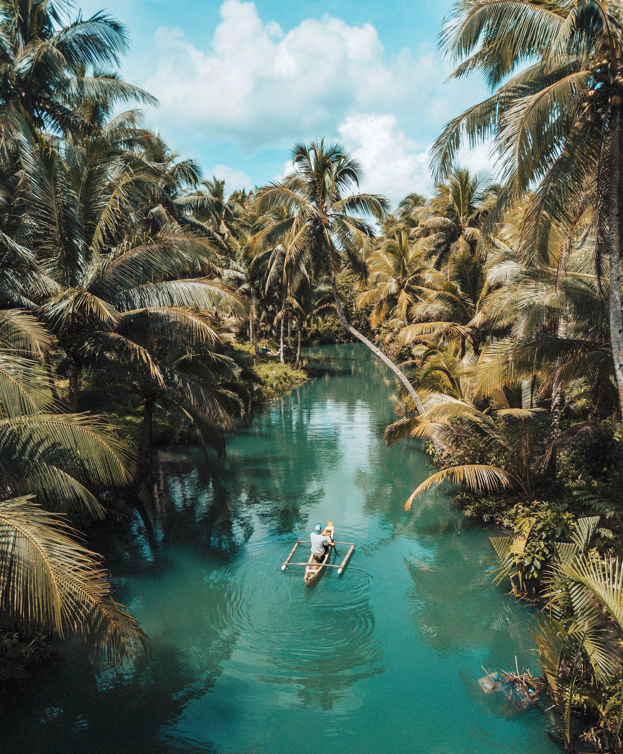 Aerial view of a person paddling a canoe on a serene turquoise river surrounded by lush palm trees under a partly cloudy sky.