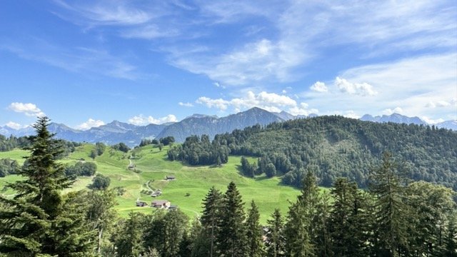 Alpine Views from Burgenstock.jpeg
