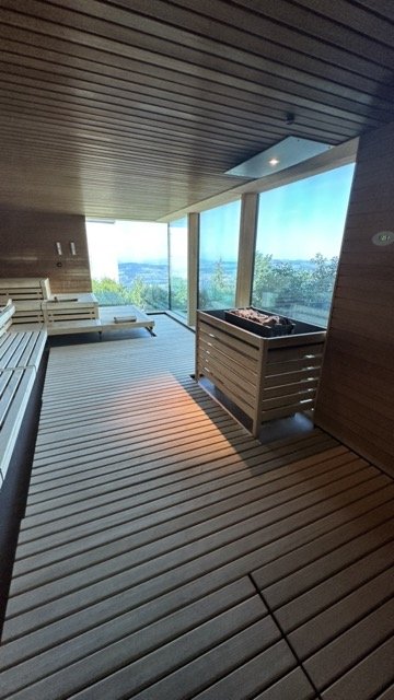 Alpine Spa Burgenstock Panoramic Naturist Sauna.jpeg