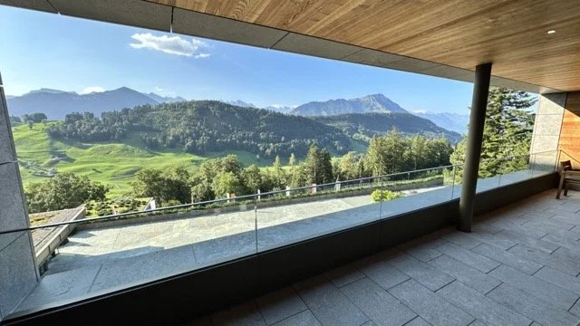 Burgenstock Mountain Views.jpeg