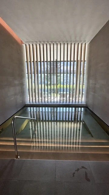 Alpine Spa Burgenstock Cold Pool.jpeg