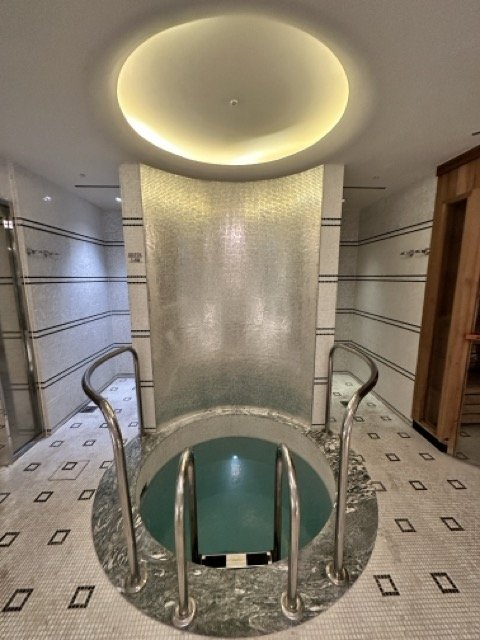 Beaumont Spa London Cold Plunge Pool.jpeg