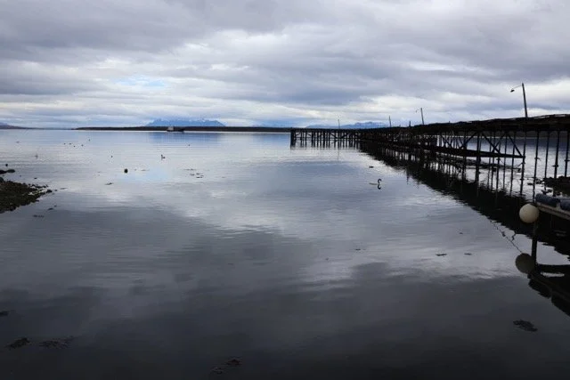 IMG_0608 Medium.jpeg