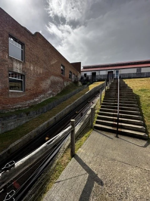 IMG_4411 Medium.jpeg