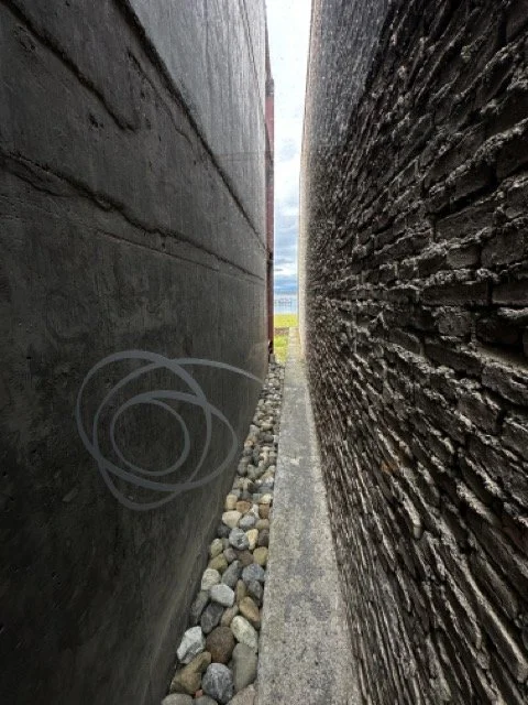 IMG_5022 Medium.jpeg