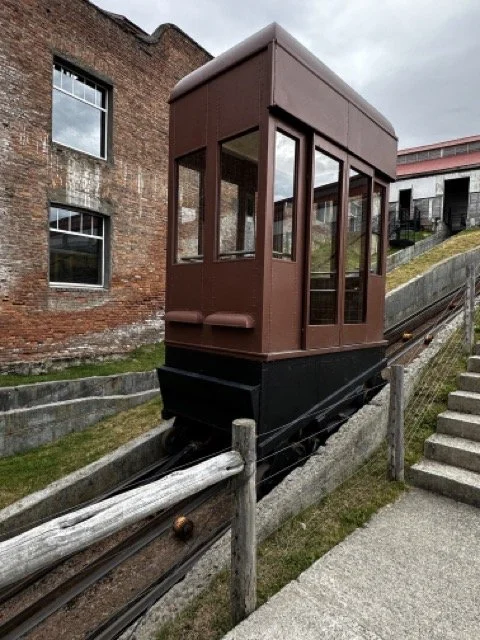 IMG_5065 Medium.jpeg