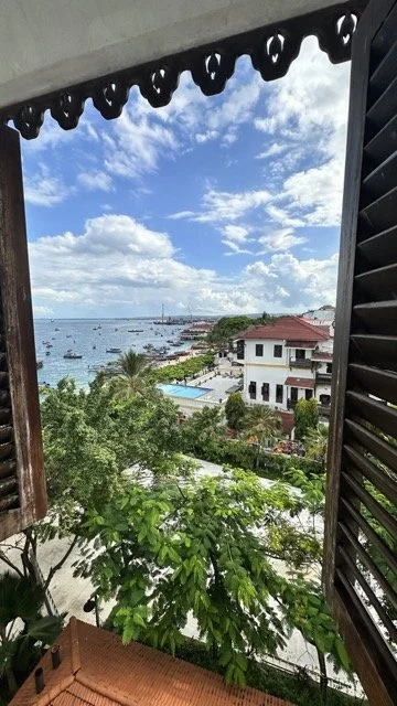 Park Hyatt Zanzibar View.jpeg