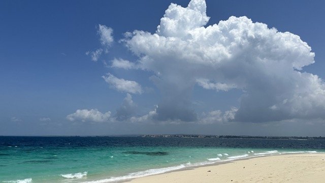 Private Sandback Beach Zanzibar.jpeg