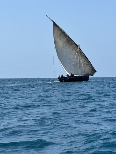 Zanzibar Dhow.jpeg