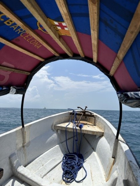 Private Sandbank Tour Boar.jpeg