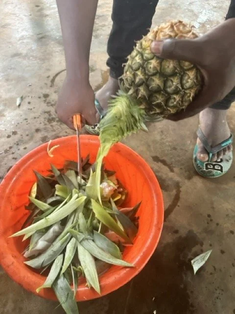 Spice Farm Tour Zanzibar.jpeg