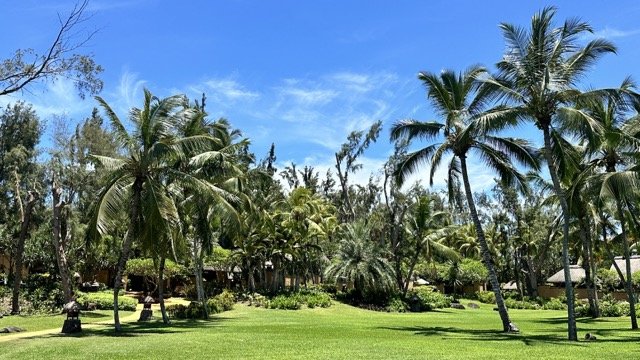 The_Oberoi_Mauritius_Garden_View.jpeg