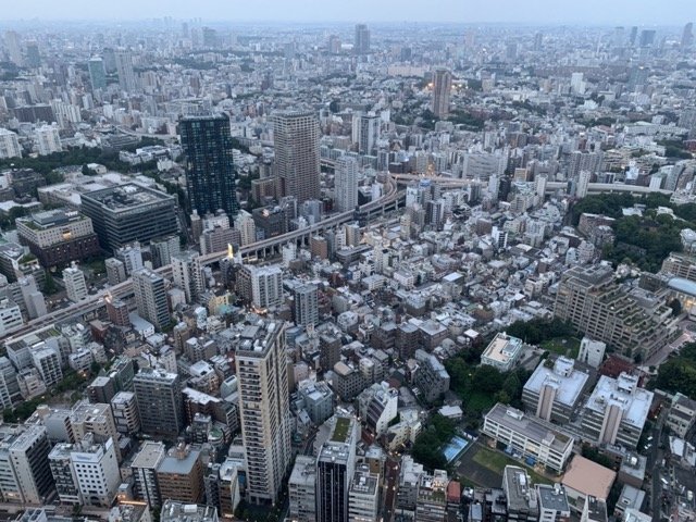 Tokyo_City _View.jpeg
