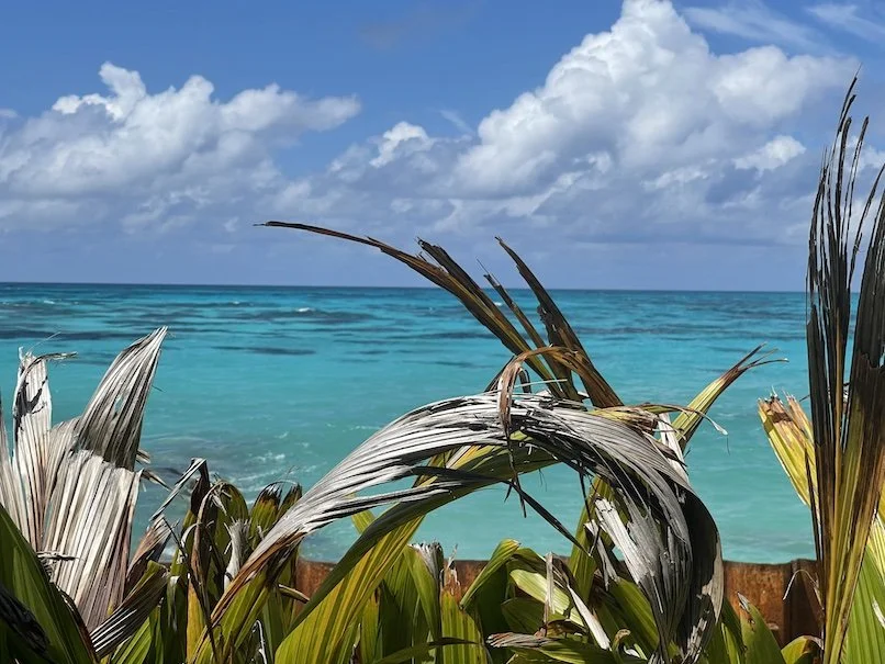 Denis_Private_Island_Seychelles_ThePrivateTraveller.jpg