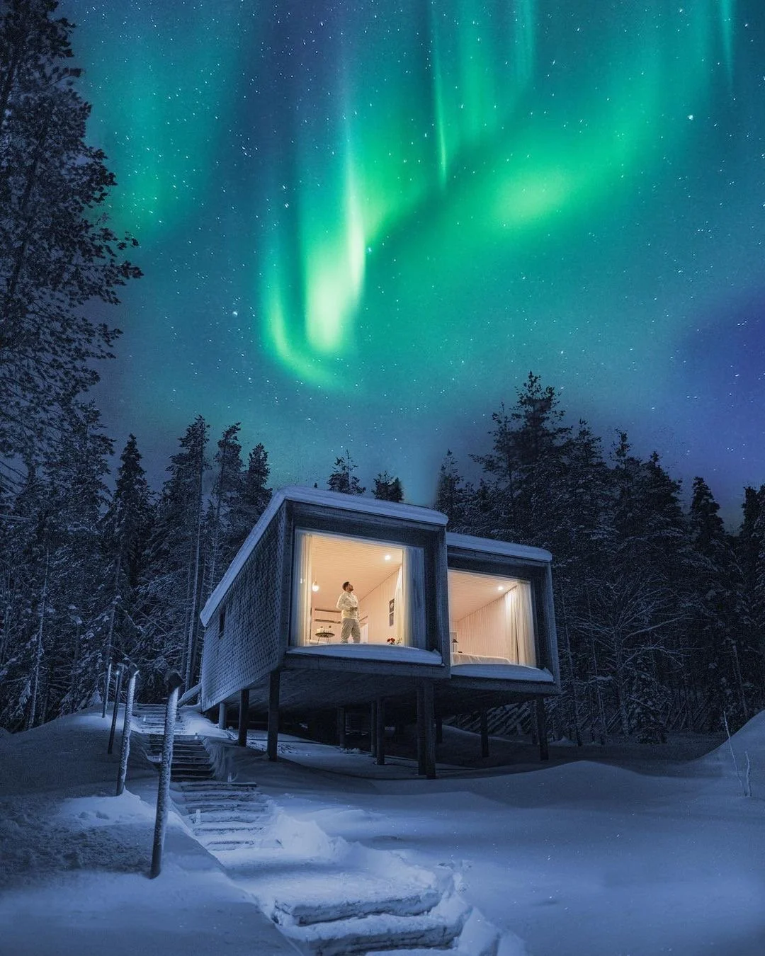 Arctic_Treehouse_Hotel.JPG