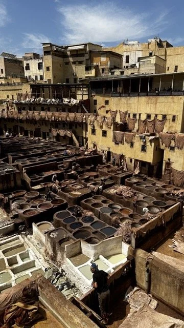 Fez-Palais-Amani-Tannery.jpeg