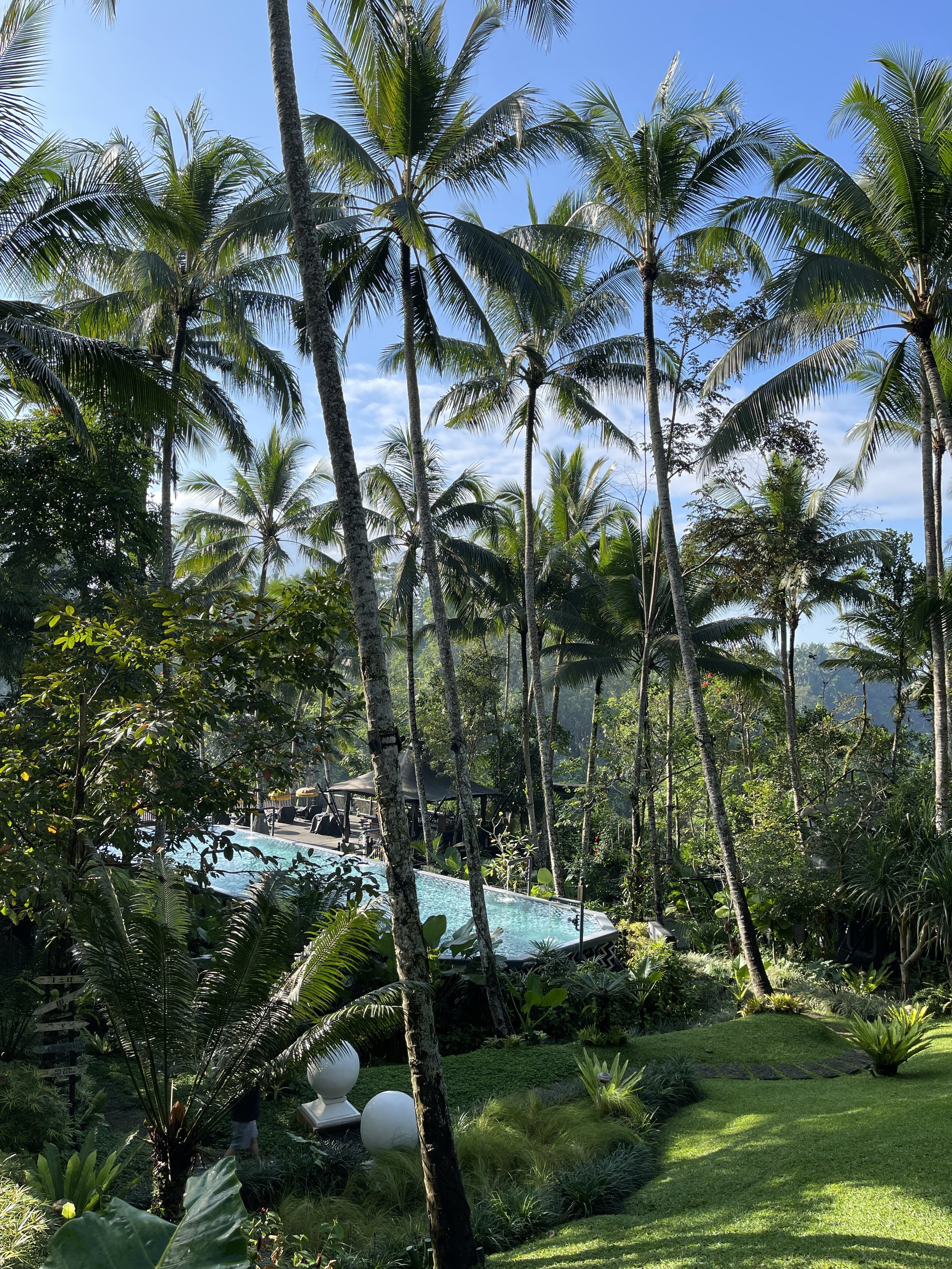 Capella Ubud Bali Luxury Hotel Review by The Private Traveller