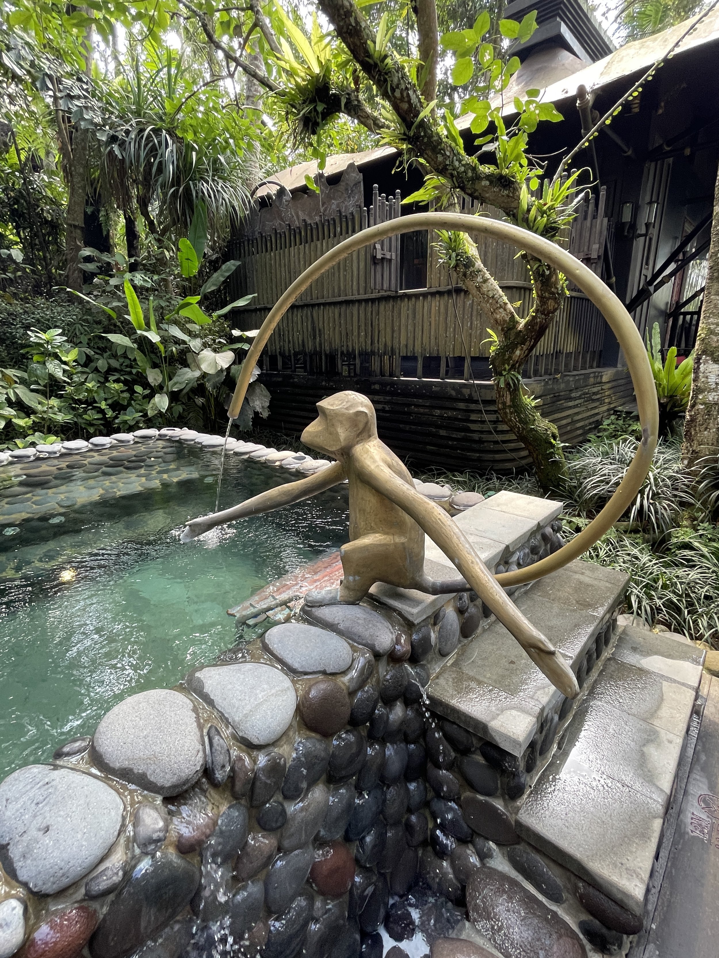 Monkey Pool Private Villa