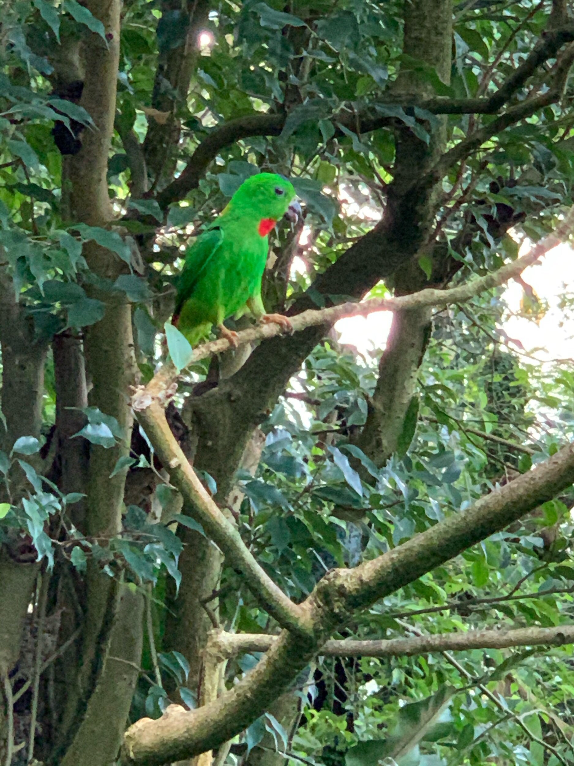 bird-theprivatetraveller.jpg