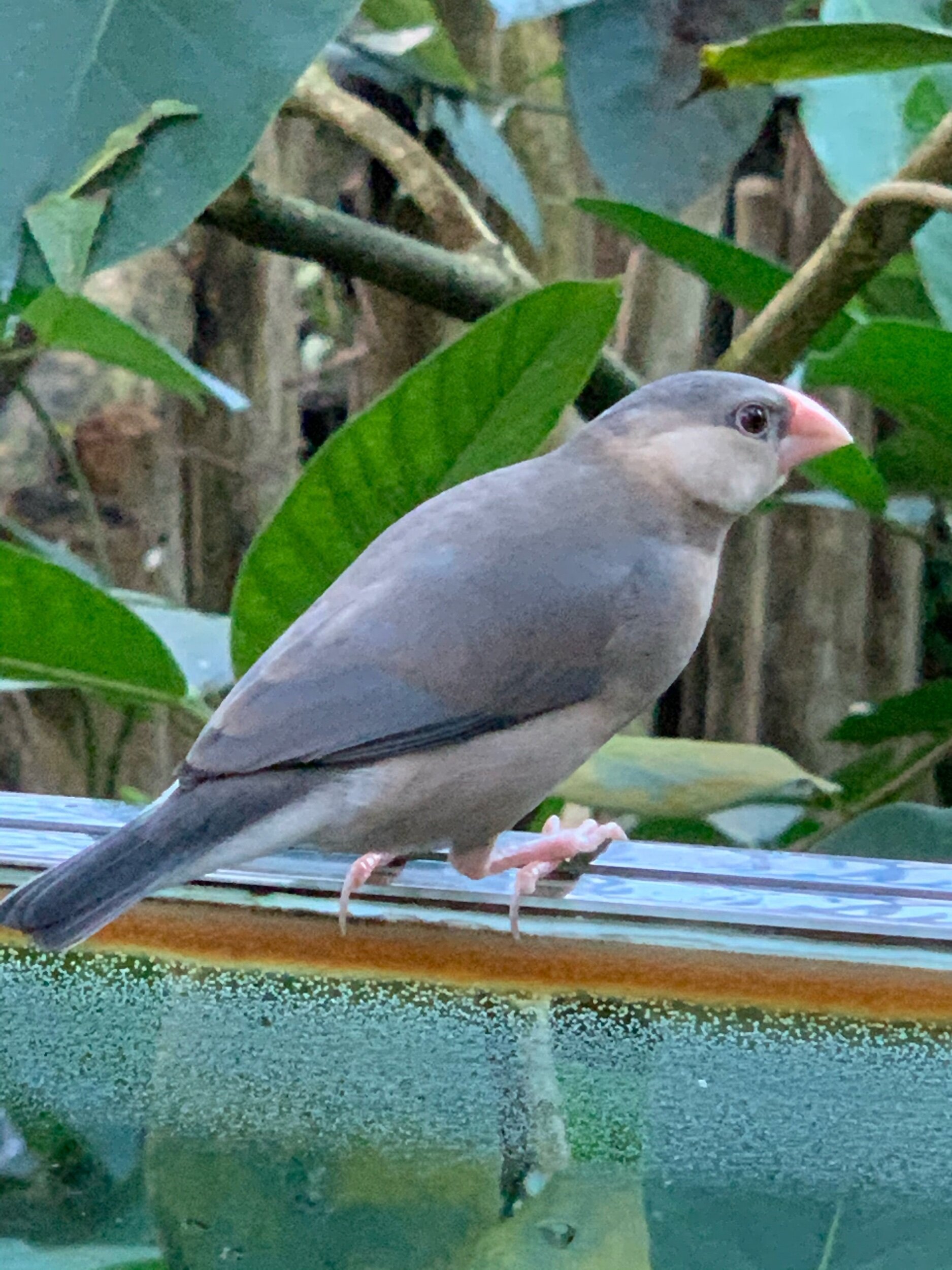 bird-theprivatetraveller.jpg