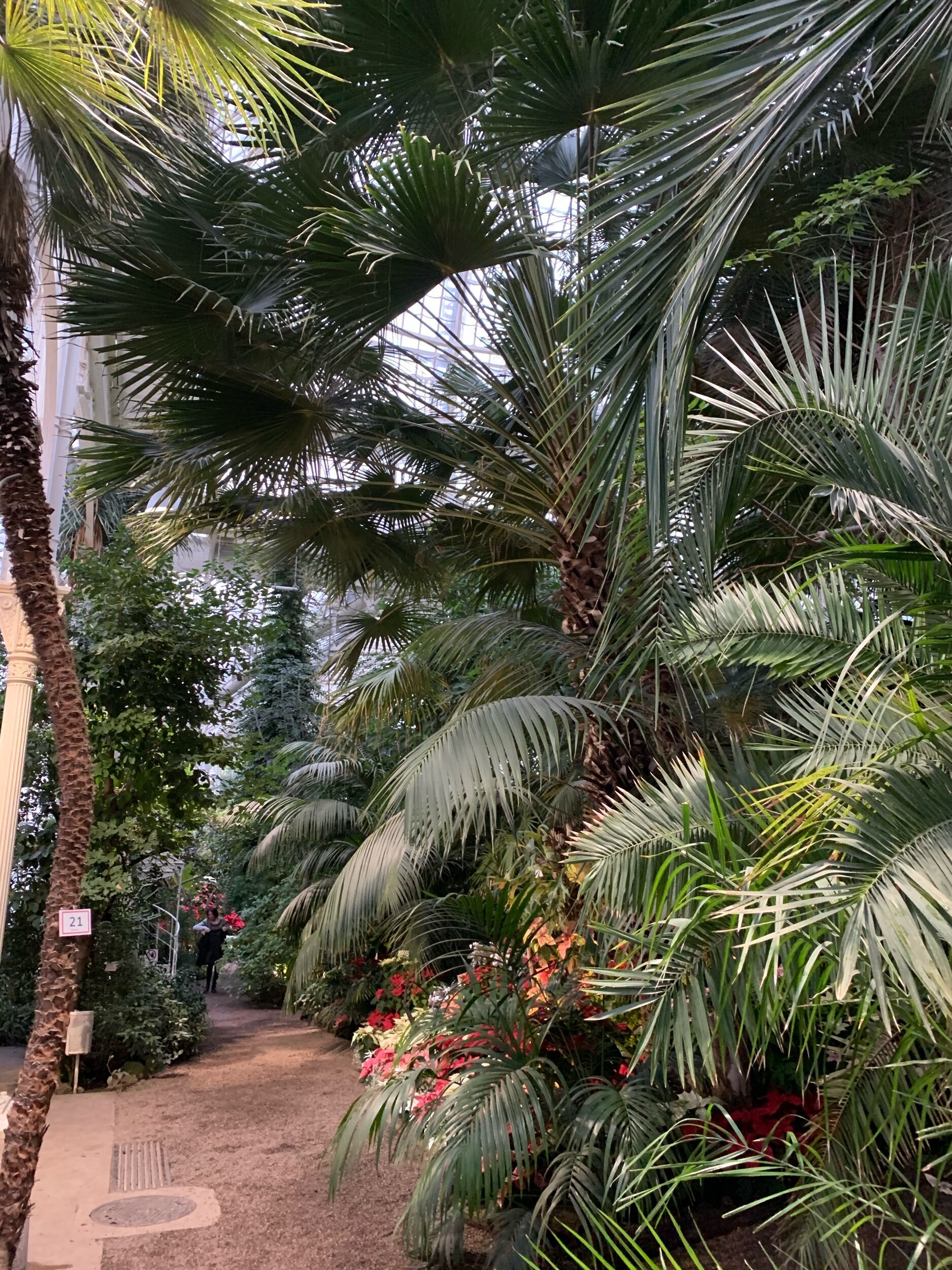 palmenhaus-theprivatetraveller.jpg