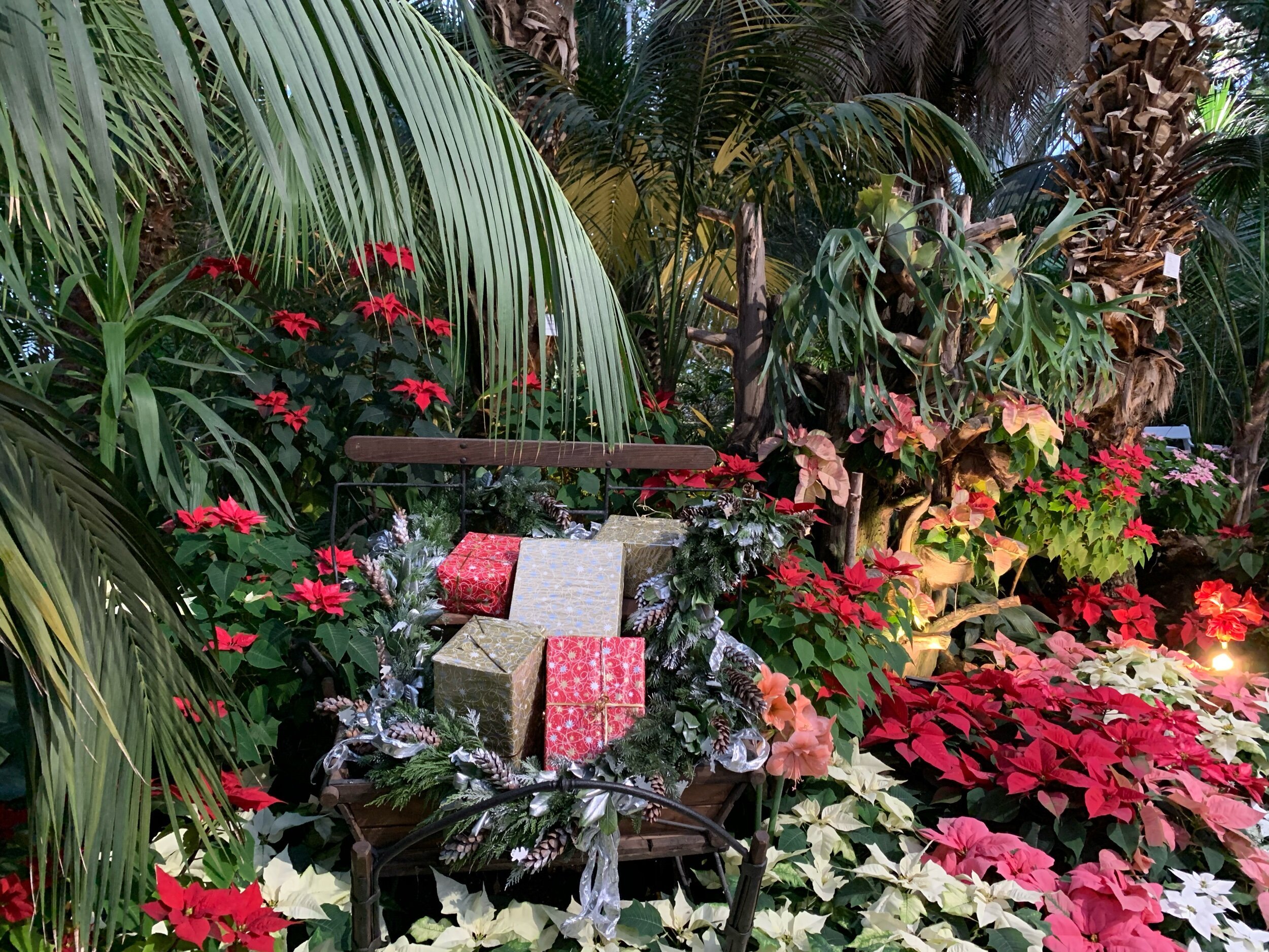 palmenhaus-theprivatetraveller.jpg