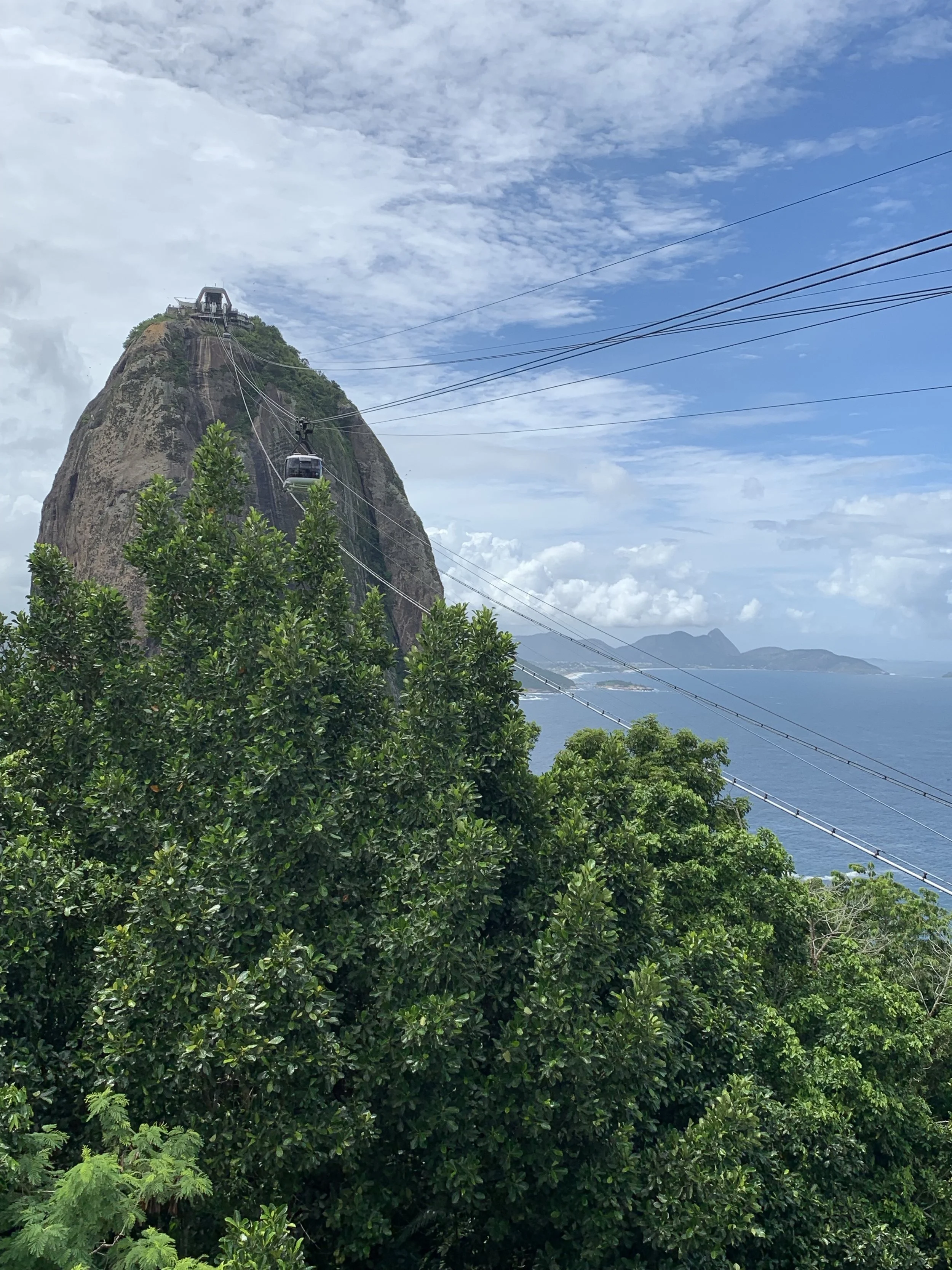 Ascend in Style: Exploring Travel Diaries - The Business Class of