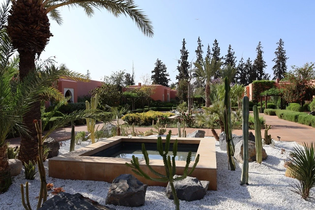 The-Oberoi-Marrakech-Hotel-Review-Cactus.jpeg