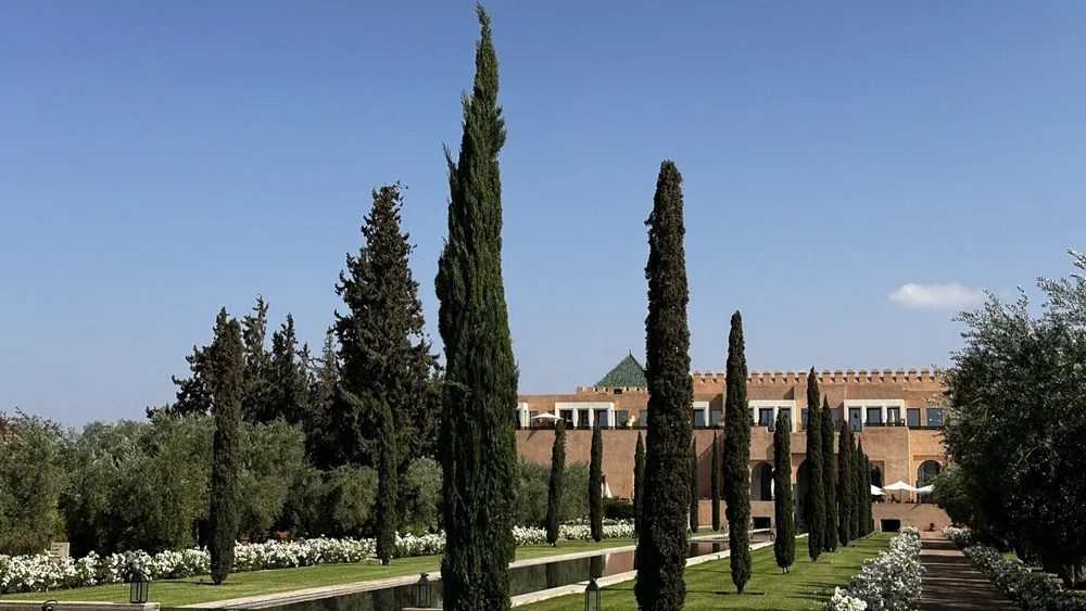 The-Oberoi-Marrakech-Hotel-Review-Trees.jpeg