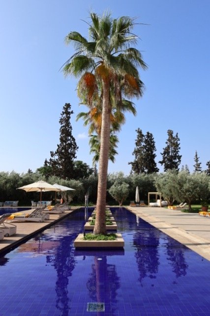 Oberoi-Marrakech-Hotel-Review-Pool.jpeg