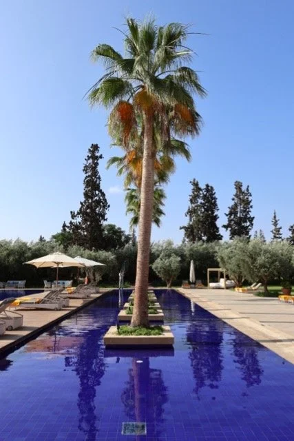 Oberoi-Marrakech-Hotel-Review-Pool.jpeg
