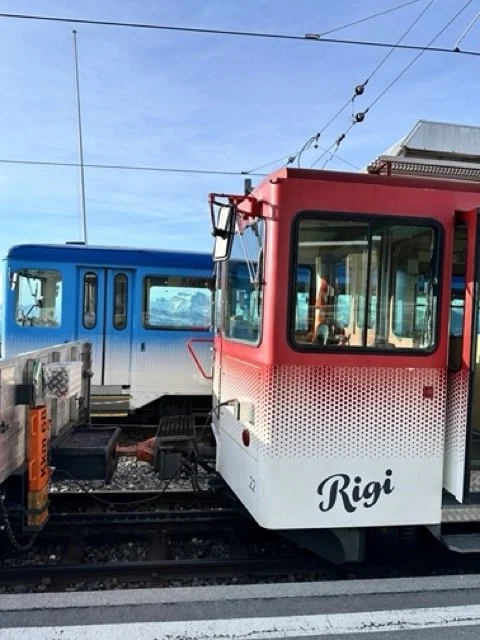 Chenot-Palace-Weggis-Rigi-Train.jpeg