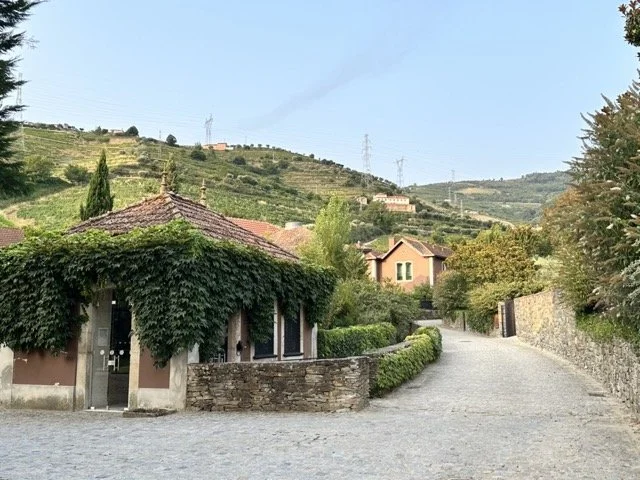 Six-Senses-Douro-Valley-Activity-Hut.jpeg