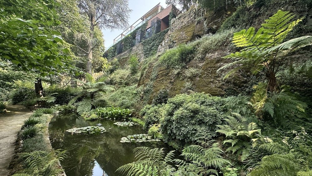 Six-Senses-Douro-Valley-Ferns.jpeg