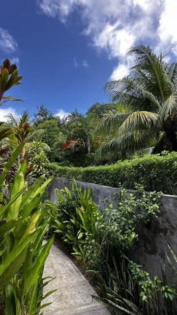 Carana-Beach-Seychelles-Gardens.jpeg