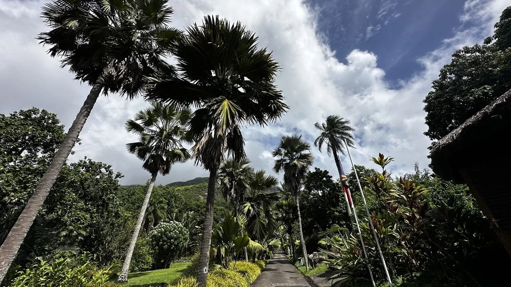 Seychelles-Botanical-Gardens.jpeg