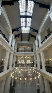Singapore-Raffles-Atrium.jpeg
